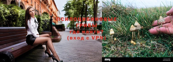 крисы Алексин