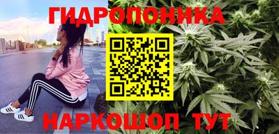 стафф Волгодонск