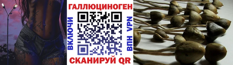 Галлюциногенные грибы Magic Shrooms  это наркотические препараты  Асино 