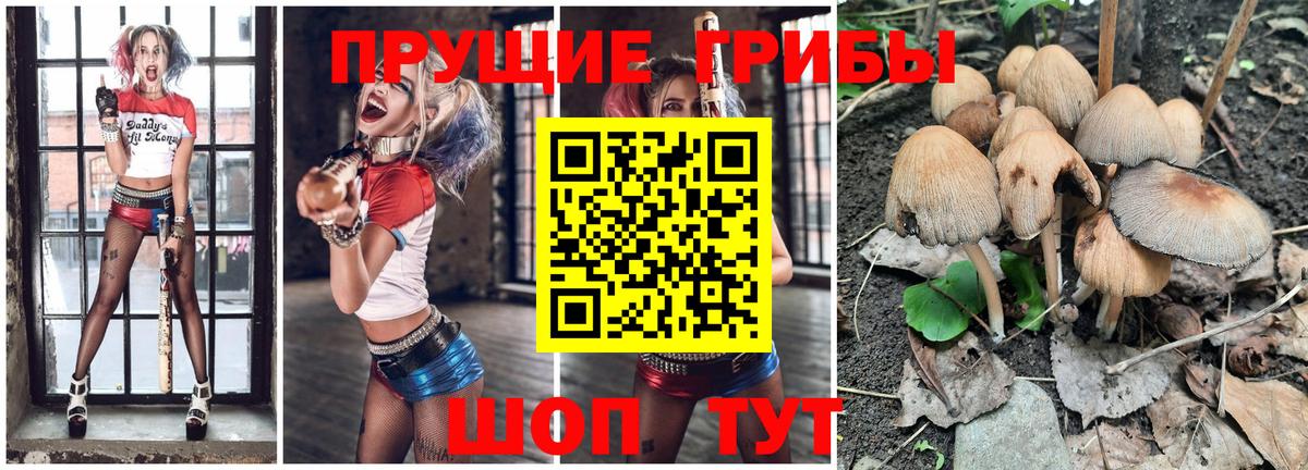 Псилоцибиновые грибы Psilocybe  Вход с VPN  Галлюциногенные грибы MAGIC MUSHROOMS  Асино 